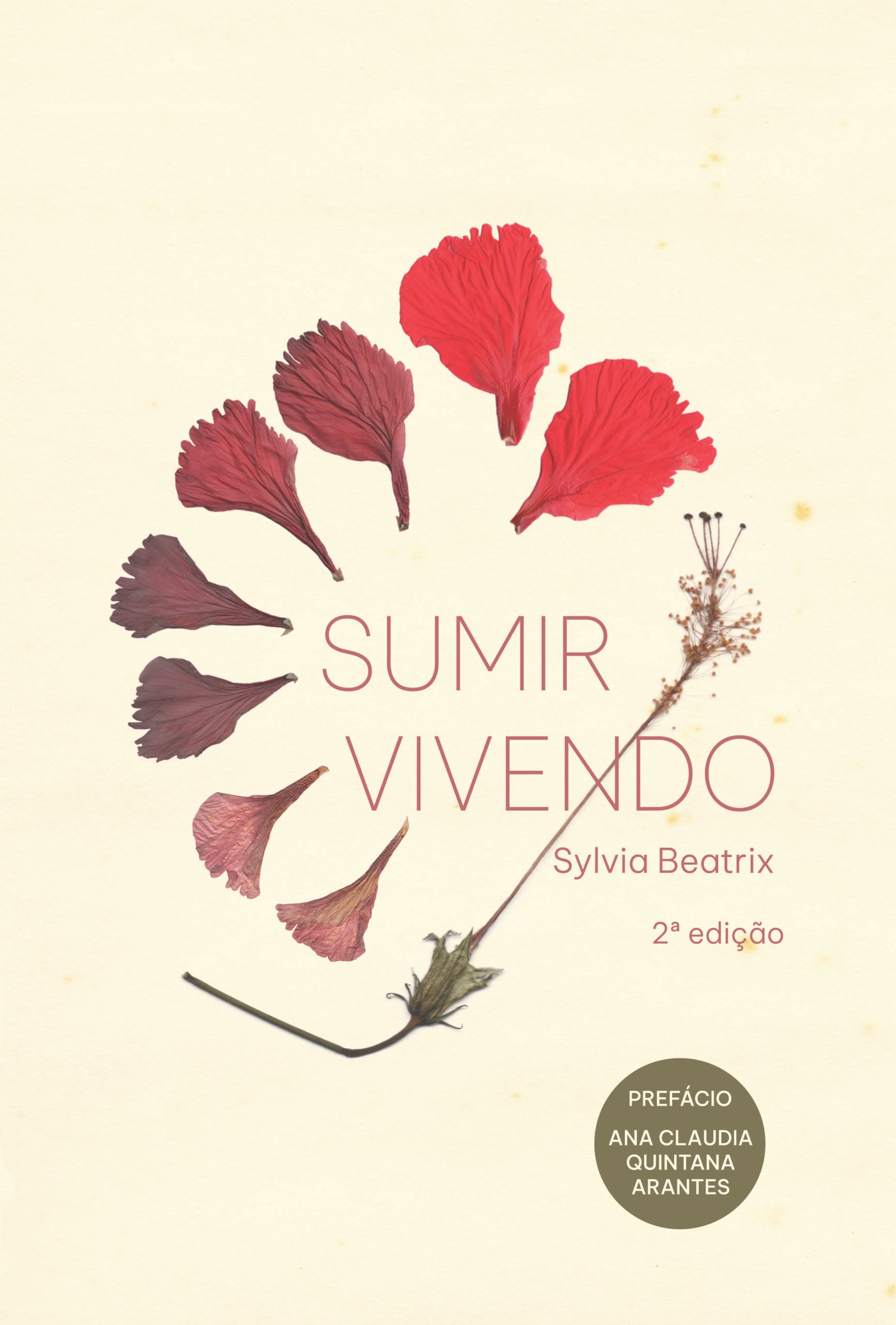 Capa do livro Sumir vivendo